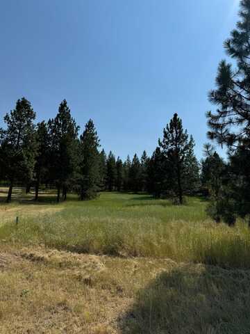 498xx E Forest Dr, Davenport, WA 99122