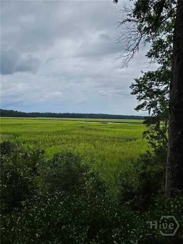 Lot 27 St Catherine Circle, Richmond Hill, GA 31324