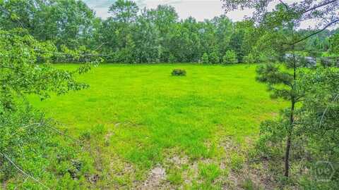 0 Springfield Egypt Road, Springfield, GA 31329