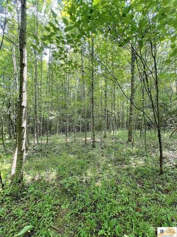 Hwy 80 Pattie Ridge Road, Russell Springs, KY 42642