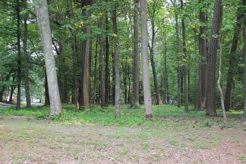 2040 NEPTUNE CT, GREENBACKVILLE, VA 23356
