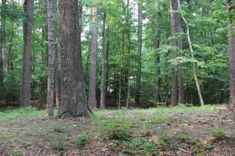 2056 NEPTUNE CT, GREENBACKVILLE, VA 23356
