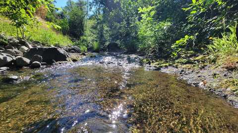 Lot 21 Lack Creek Drive, Shingletown, CA 96088