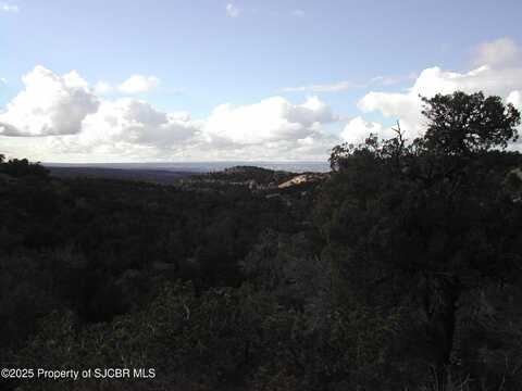 R4001857 ROAD 2777, Aztec, NM 87410