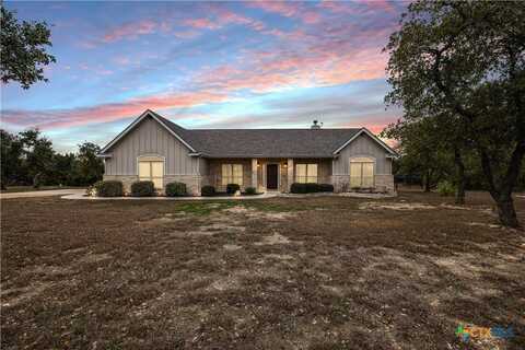 351 Cooks Crossing, Liberty Hill, TX 78642