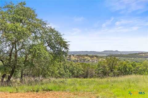 2164 Andalusia, Canyon Lake, TX 78133