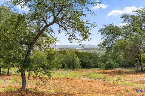 2160 Andalusia, Canyon Lake, TX 78133