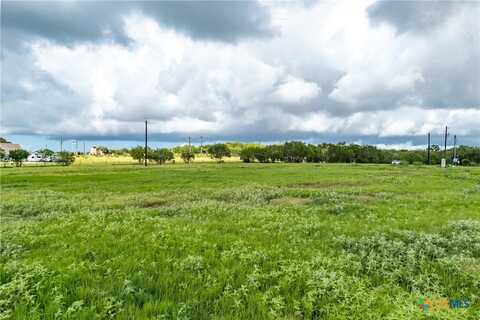 5485 County Road 249 Way, Luling, TX 78629