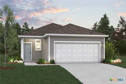205 Alcatraz Loop, Jarrell, TX 76537