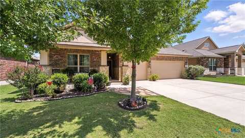 3590 High Cloud Drive, New Braunfels, TX 78130