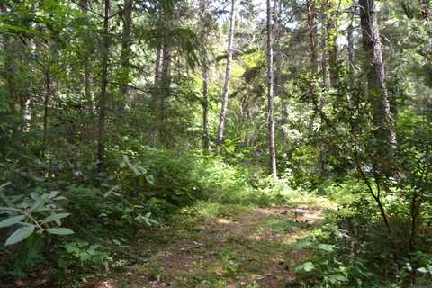 4657 Lower Grave Creek Road, Wolf Creek, OR 97497