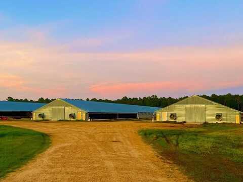 TBD Mount Zion Rd, Wesson, MS 39601