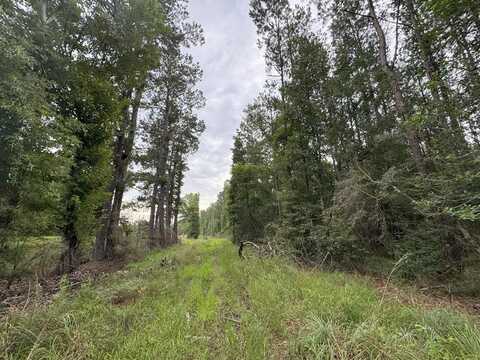 0 LA Hwy 442, Albany, LA 70711