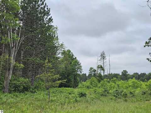 00 Menzies Road, Lake City, MI 49651