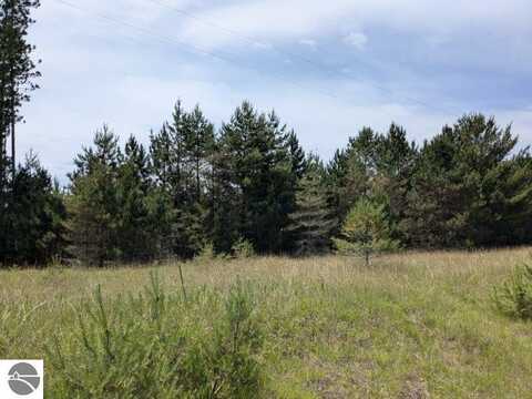 V/L Curtis Road, Hale, MI 48739