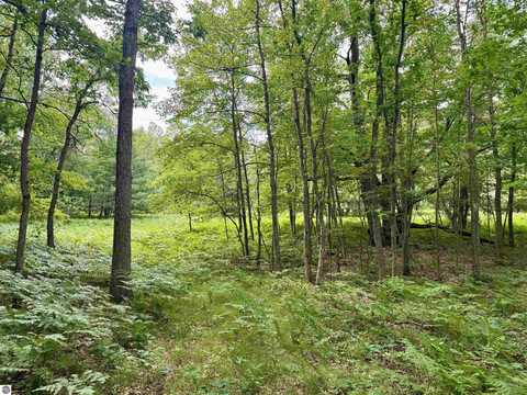 Parcel M Rosted Road, Lake City, MI 49651