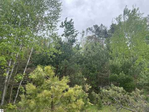 0000 Radov Road, Gladwin, MI 48624