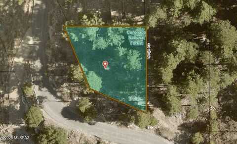 12780 N Loma Linda Ext Road, Mt. Lemmon, AZ 85619