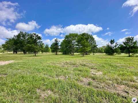 0 FM 911 S, Avery, TX 75554