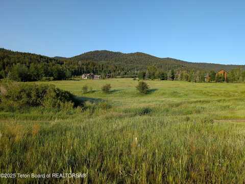 57 WARM CREEK Lane, Victor, ID 83455