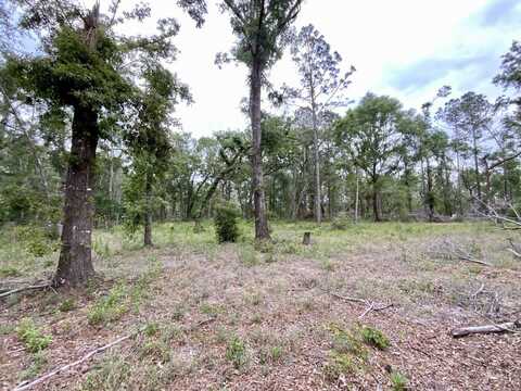 Vacant NE Bellville Road, Pinetta, FL 32350
