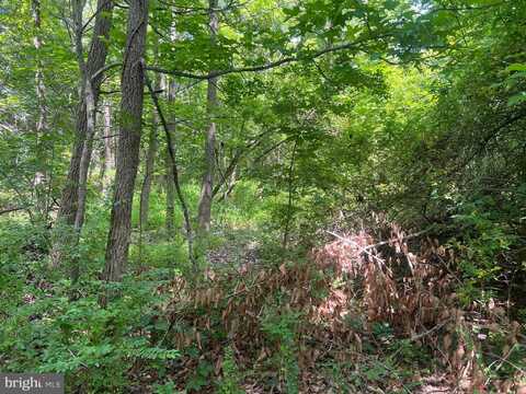 10301 BELMONT BOULEVARD, LORTON, VA 22079