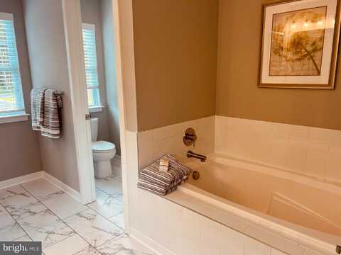 340 CORALROOT DRIVE, TOWNSEND, DE 19734