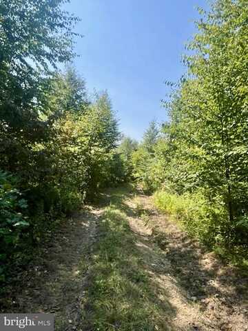 25 BEECH CREEK MOUNTAIN ROAD, BEECH CREEK, PA 16822