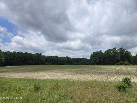 0 Ballard Road, Williamston, NC 27892