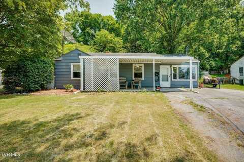 314 Orleans Street, Johnson City, TN 37601