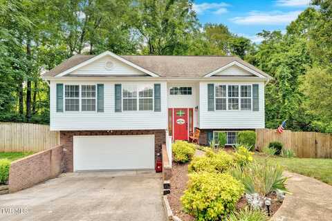 46 Taylor Ridge Court, Johnson City, TN 37601
