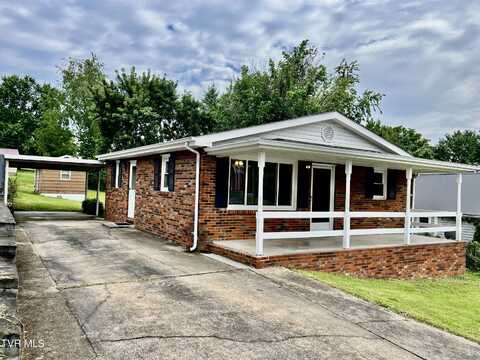 318 Cypress Street, Mount Carmel, TN 37645