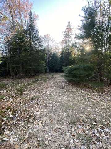 TBD Ross Lake, Shingleton, MI 49884