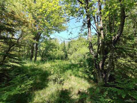 8930 Sand Lake, Au Train, MI 49806