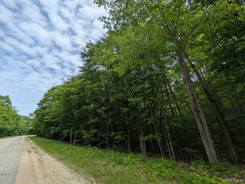 Parcel "B" W Smith Lake, Manistique, MI 49854