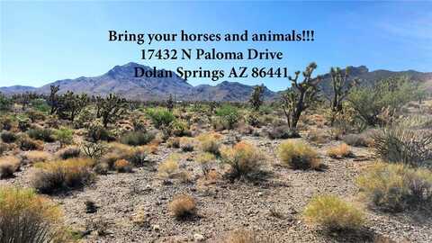 17432 N Paloma Drive, Dolan Springs, AZ 86441
