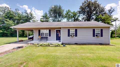 233 Bendefield Lane, Farmington, KY 42040