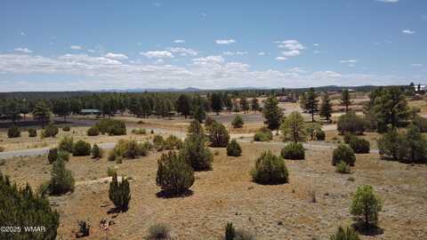 1060 Linden Valley Road, Show Low, AZ 85901