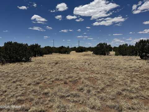 8507 Ossendorf Place, Show Low, AZ 85901