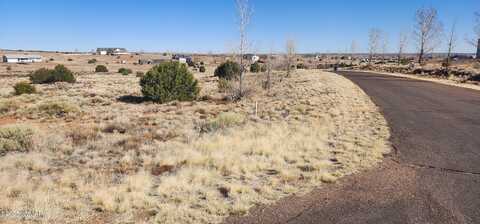 1251 Harvest Circle, Taylor, AZ 85939
