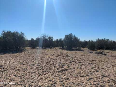Lot 35 6718, Saint Johns, AZ 85936