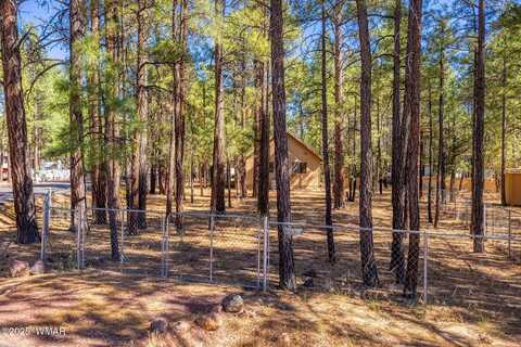 1148 N 43Rd Drive, Show Low, AZ 85901