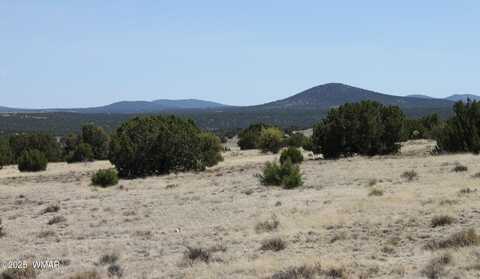 36 County Road 8249, Concho, AZ 85924