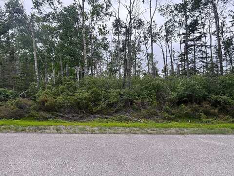 Pine St lot: 92, Presque Isle, MI 49777