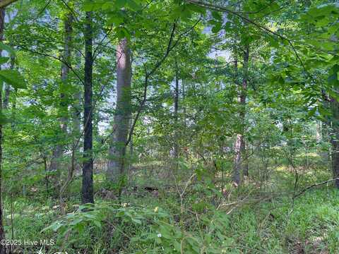 124 Windsong Point, Edenton, NC 27932