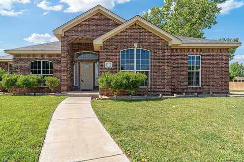 9317 SHYLANA Avenue, Amarillo, TX 79119