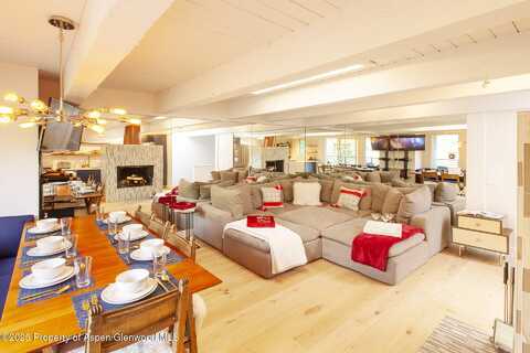 1039 E Cooper Avenue, Aspen, CO 81611