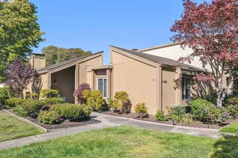 3150 Phoenix Ln, Alameda, CA 94502