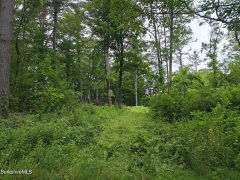 IROQUOIS ST, Lanesborough, MA 01237