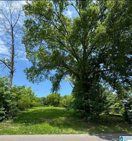 116 21ST AVENUE, CENTER POINT, AL 35215